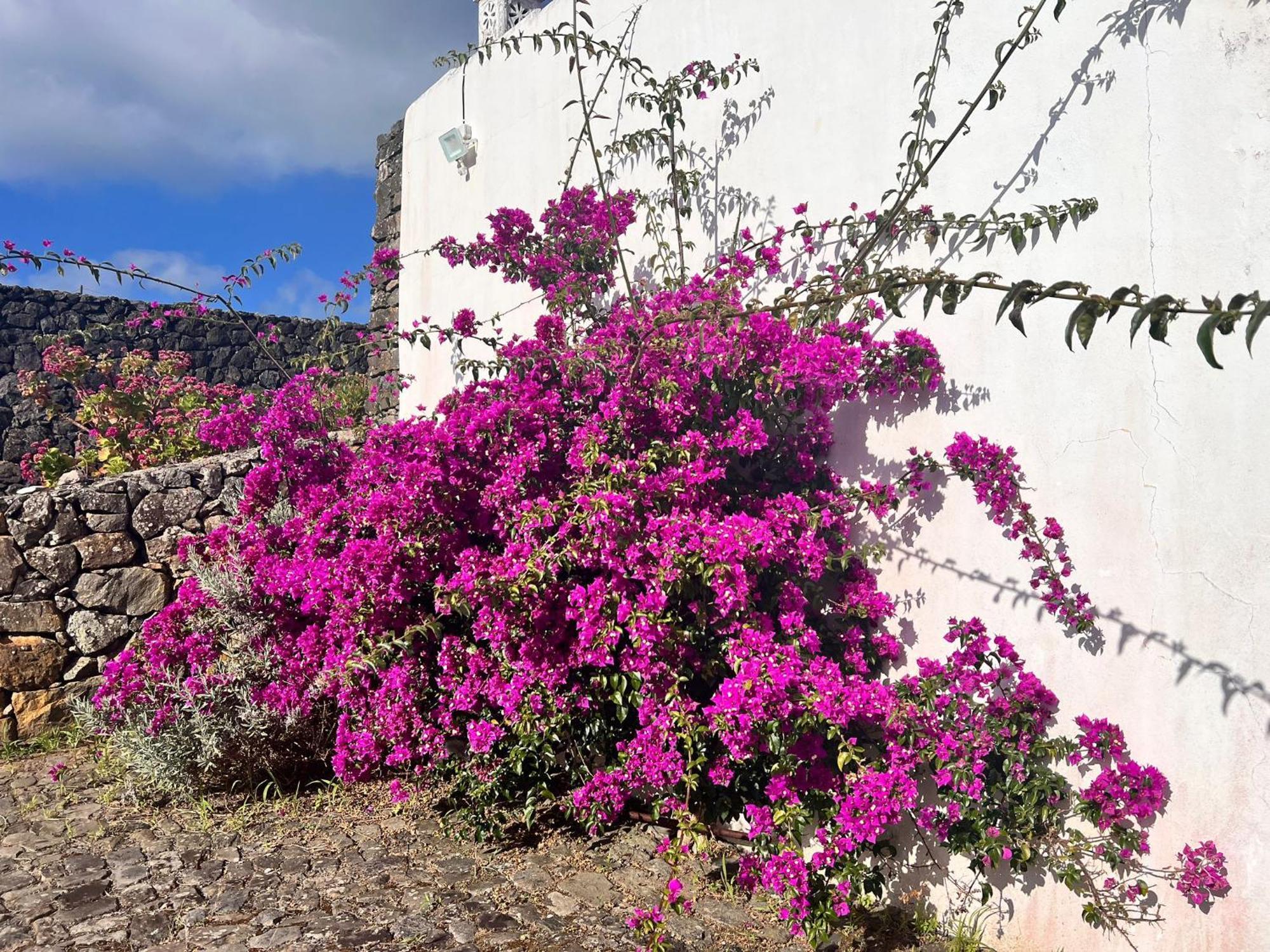 Villa Casa do Becco Angra do Heroísmo Esterno foto